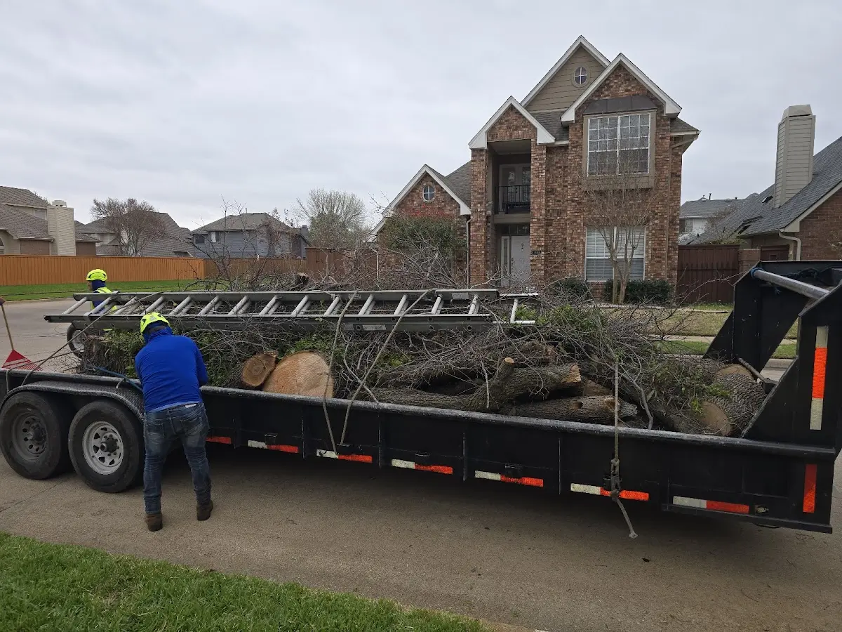 Expert Tree Pest Control with proper safety equipment in Oconto